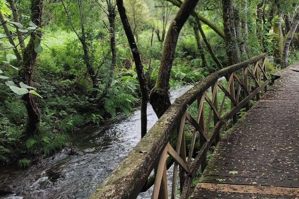 شقة Tranquilidad Y Naturaleza مونداريز-بلناريو المظهر الخارجي الصورة